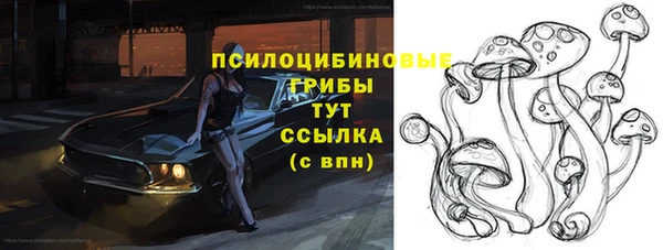 дживик Елабуга