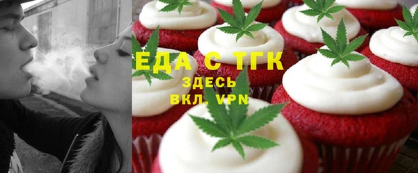 хмурый Ельня