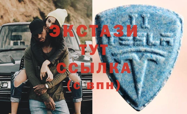 хмурый Ельня
