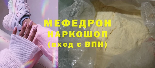 хмурый Ельня
