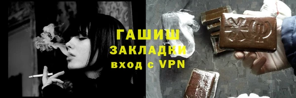 хмурый Ельня