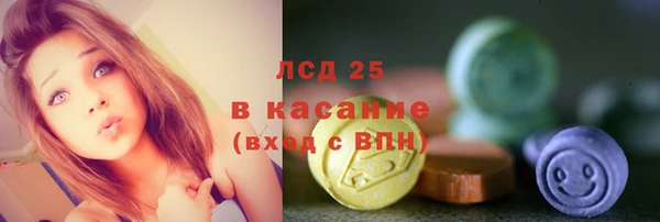 дживик Елабуга
