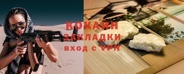 хмурый Ельня