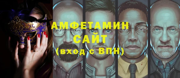 хмурый Ельня